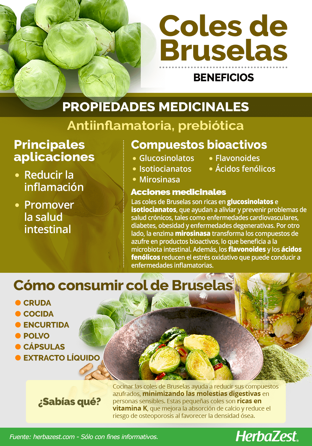 Beneficios de la col de Bruselas