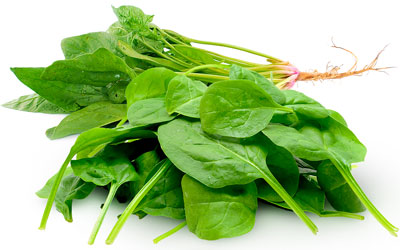 Spinach