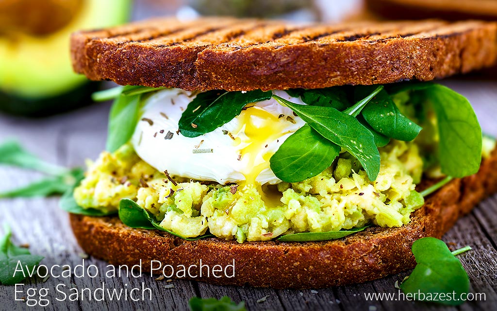 Avocado and Poached Egg Sandwich