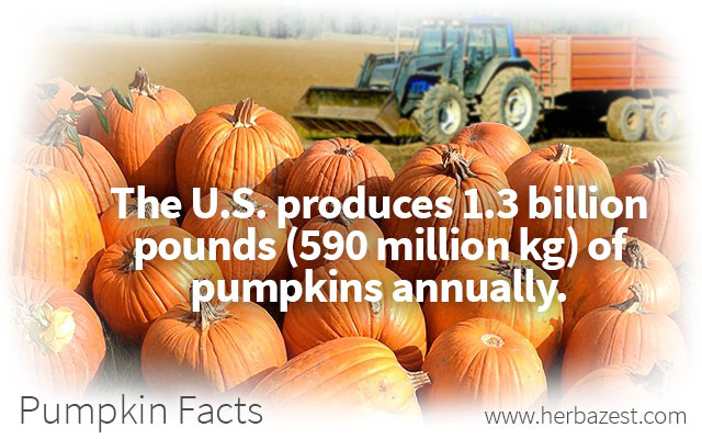 Pumpkin Facts
