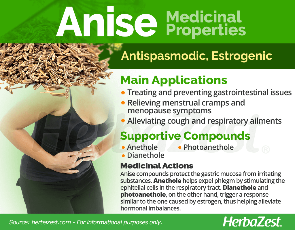 Anise Benefits & Properties