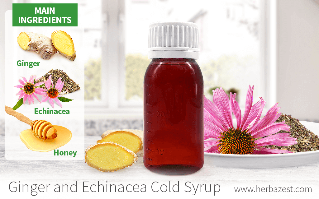 Ginger and Echinacea Cold Syrup