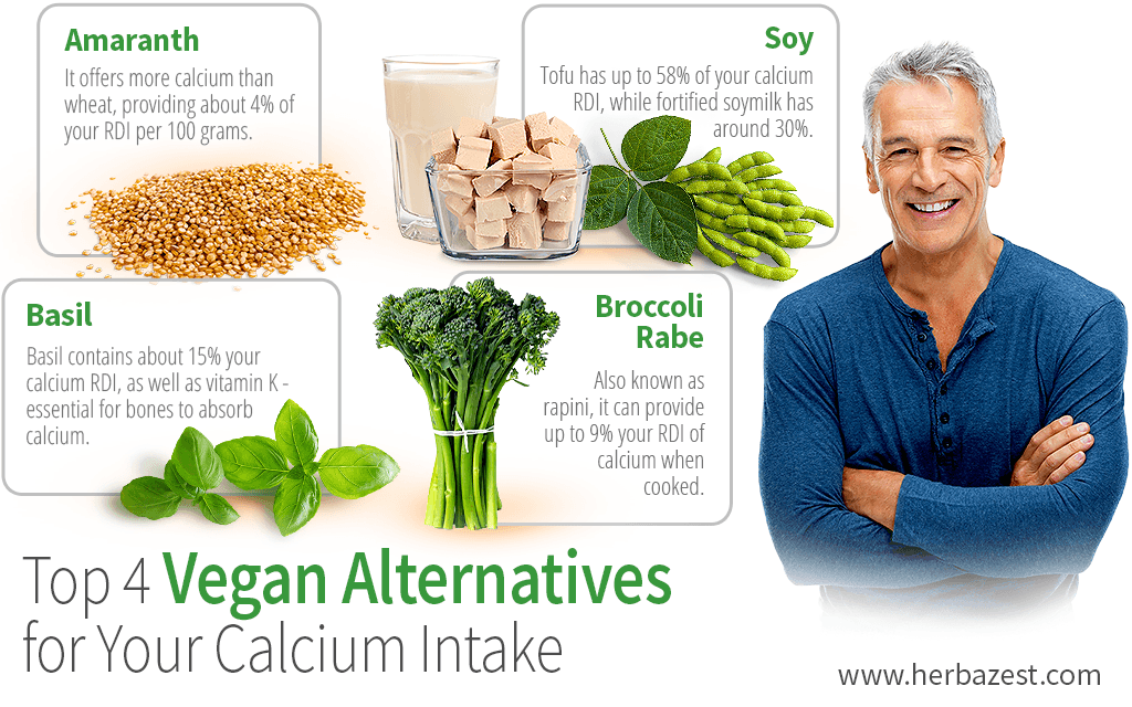 Top 4 Vegan Alternatives for Your Calcium Intake