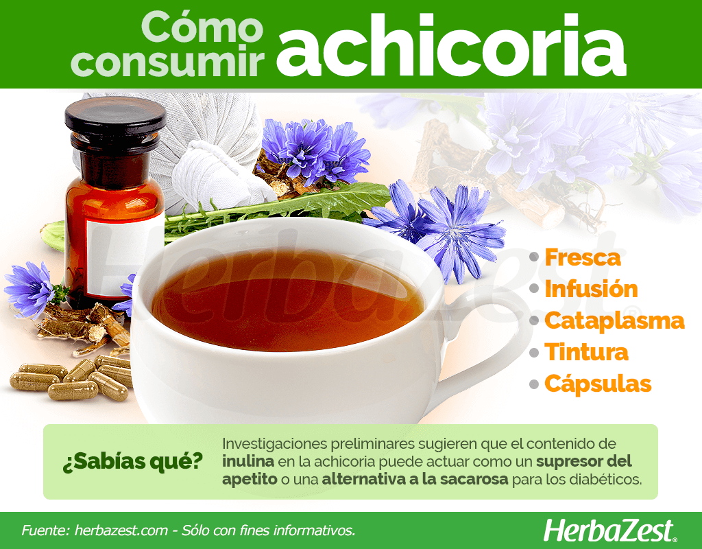 Cómo consumir achicoria