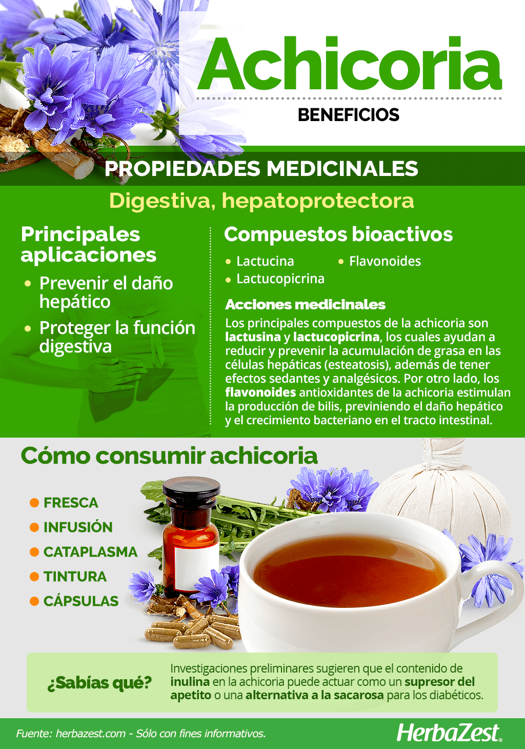 Beneficios de la achicoria