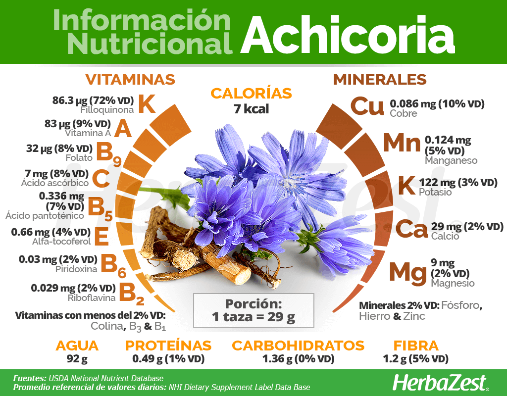 Información nutricional de la achicoria