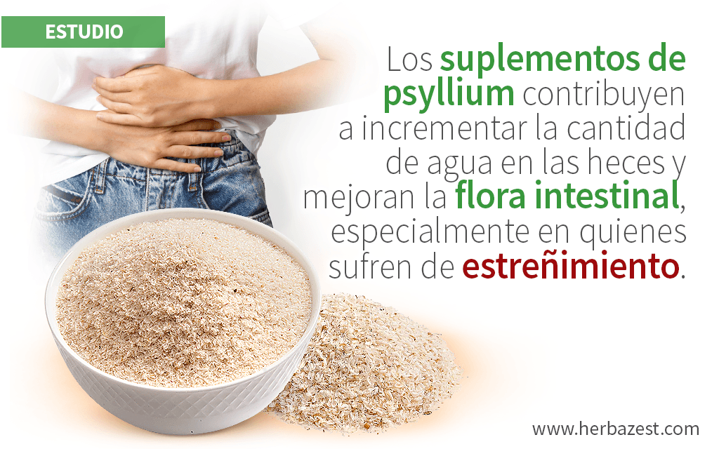 Demuestran beneficios de la cáscara de psyllium para la flora intestinal