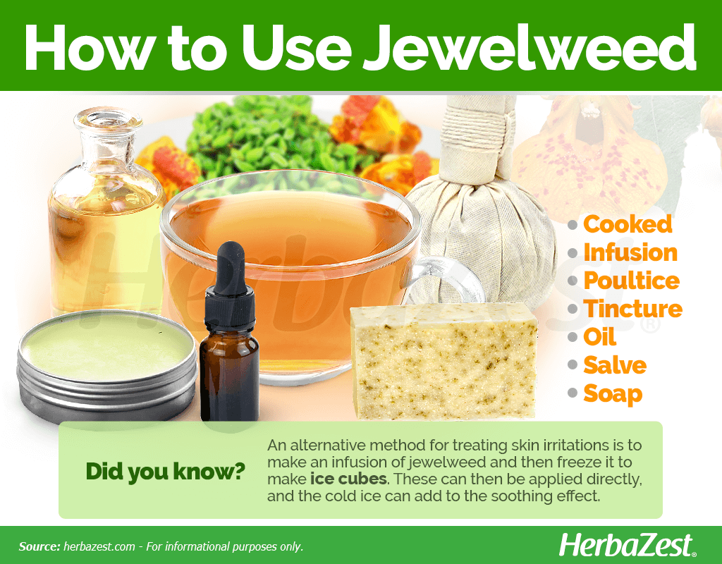 How to Use Jewelweed