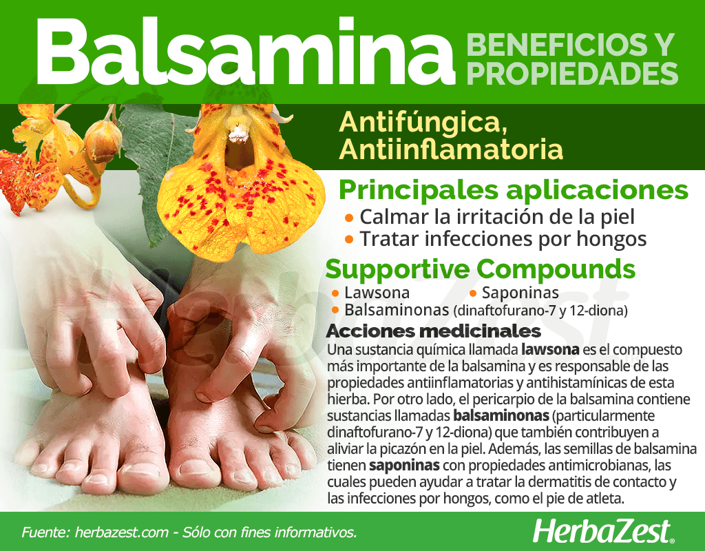 Beneficios y propiedades de la balsamina