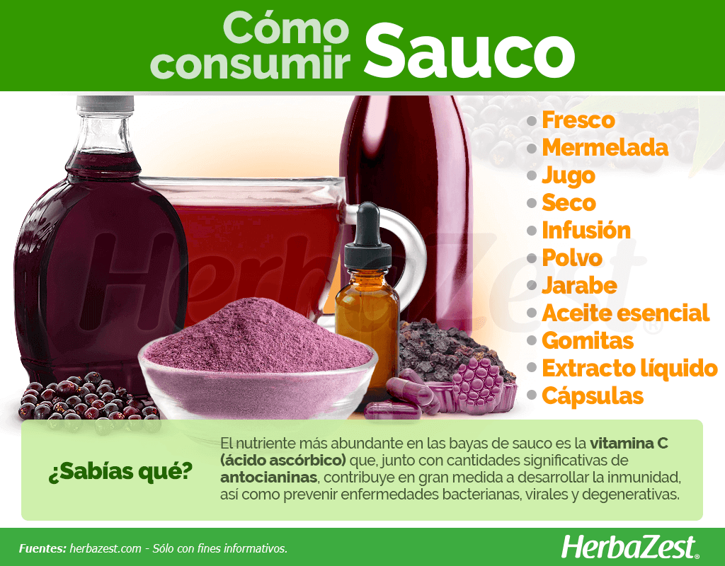 Cómo consumir sauco