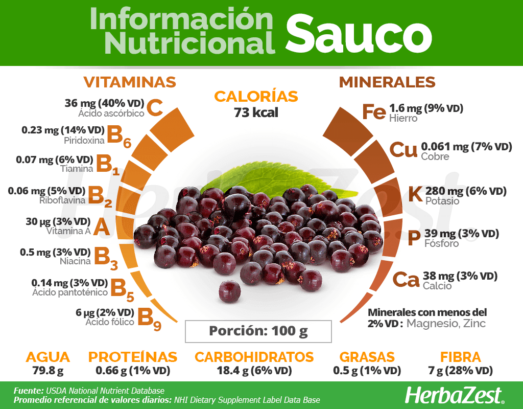 Información nutricional del sauco