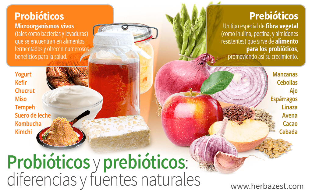 Prebióticos y probióticos: diferencias y fuentes naturales