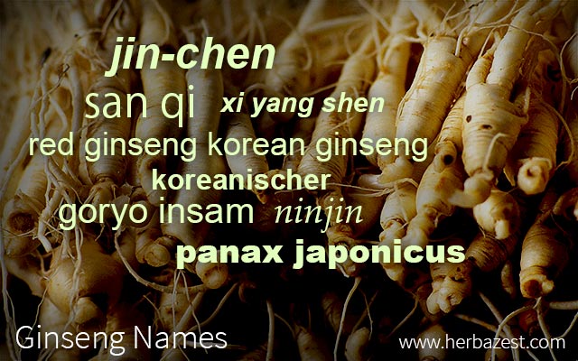 Ginseng Names