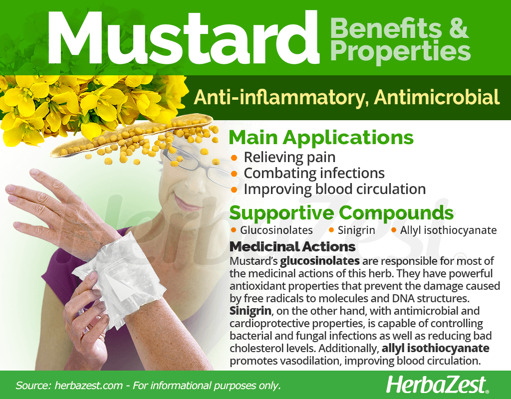 Mustard Benefits and Properties
