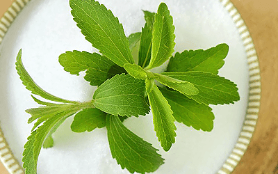 Researchers Find Stevia May Help Lower Blood Sugar Naturally
