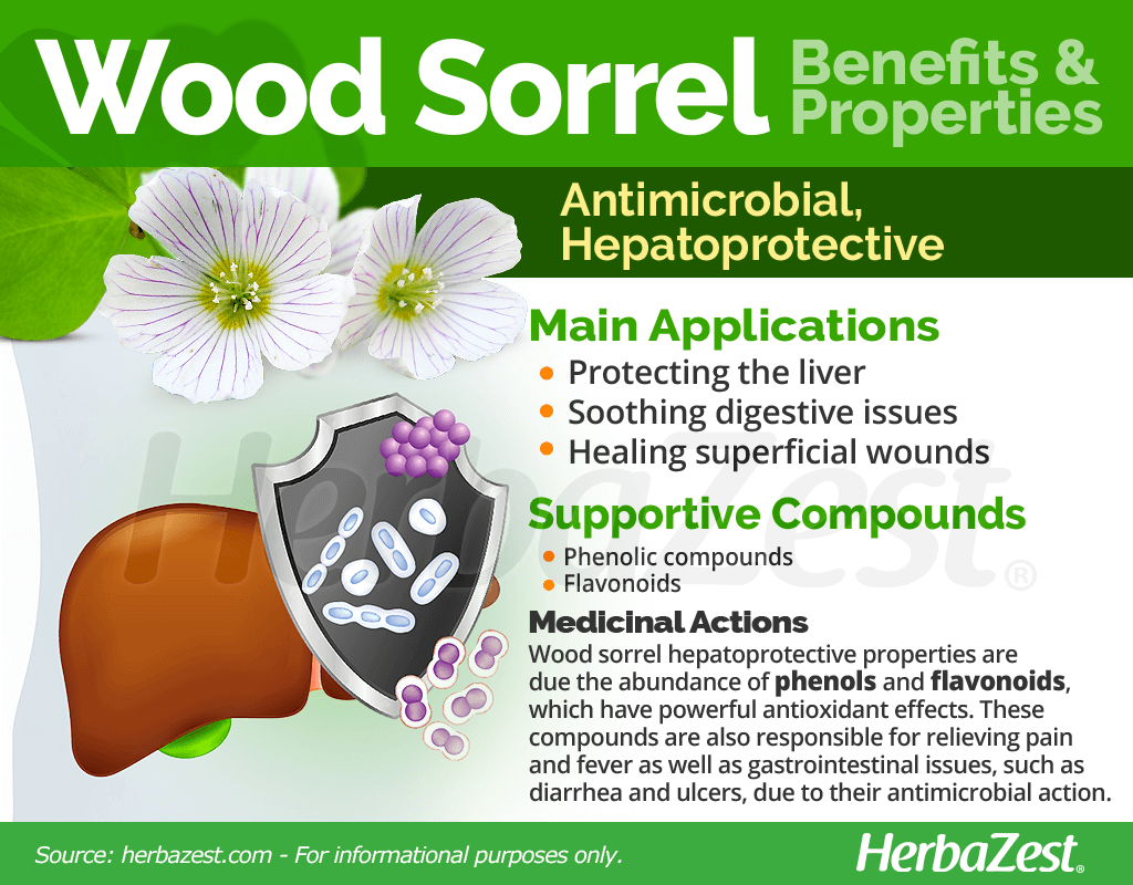 Wood Sorrel Benefits & Properties