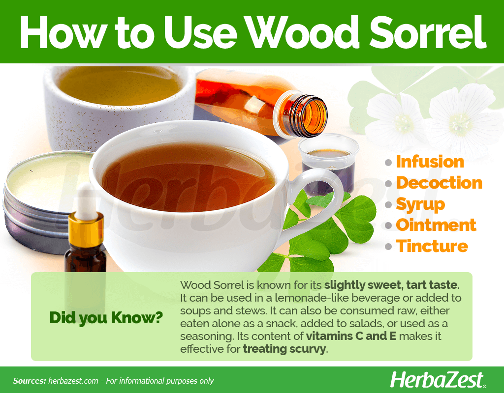 How to Use Wood Sorrel