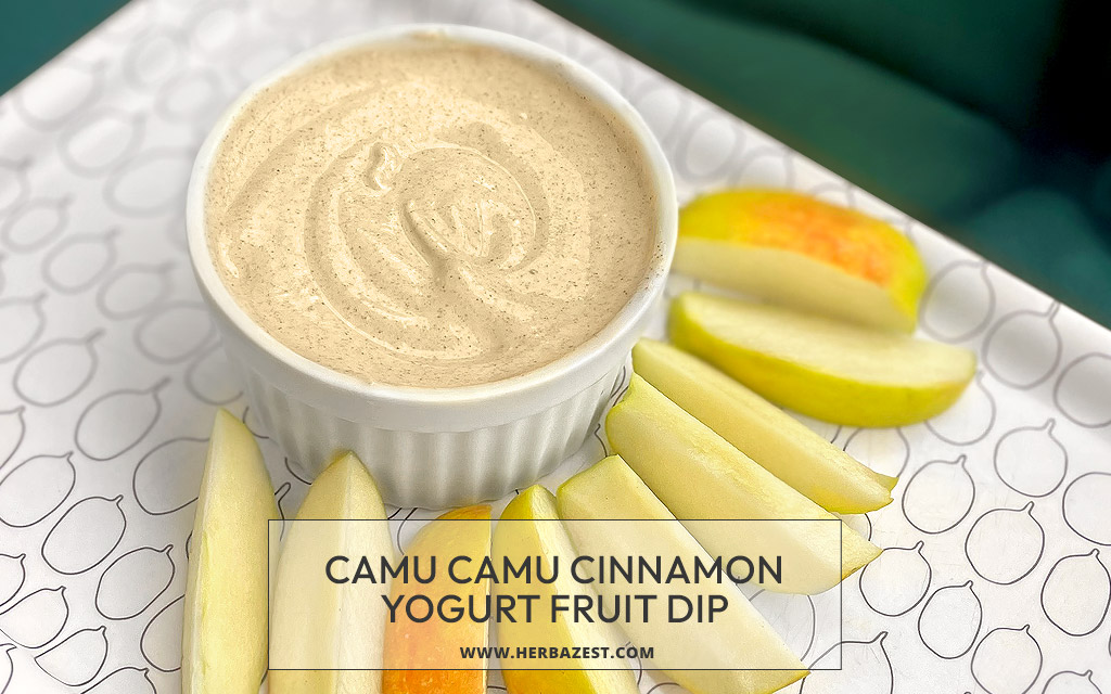 Camu Camu Cinnamon Yogurt Fruit Dip