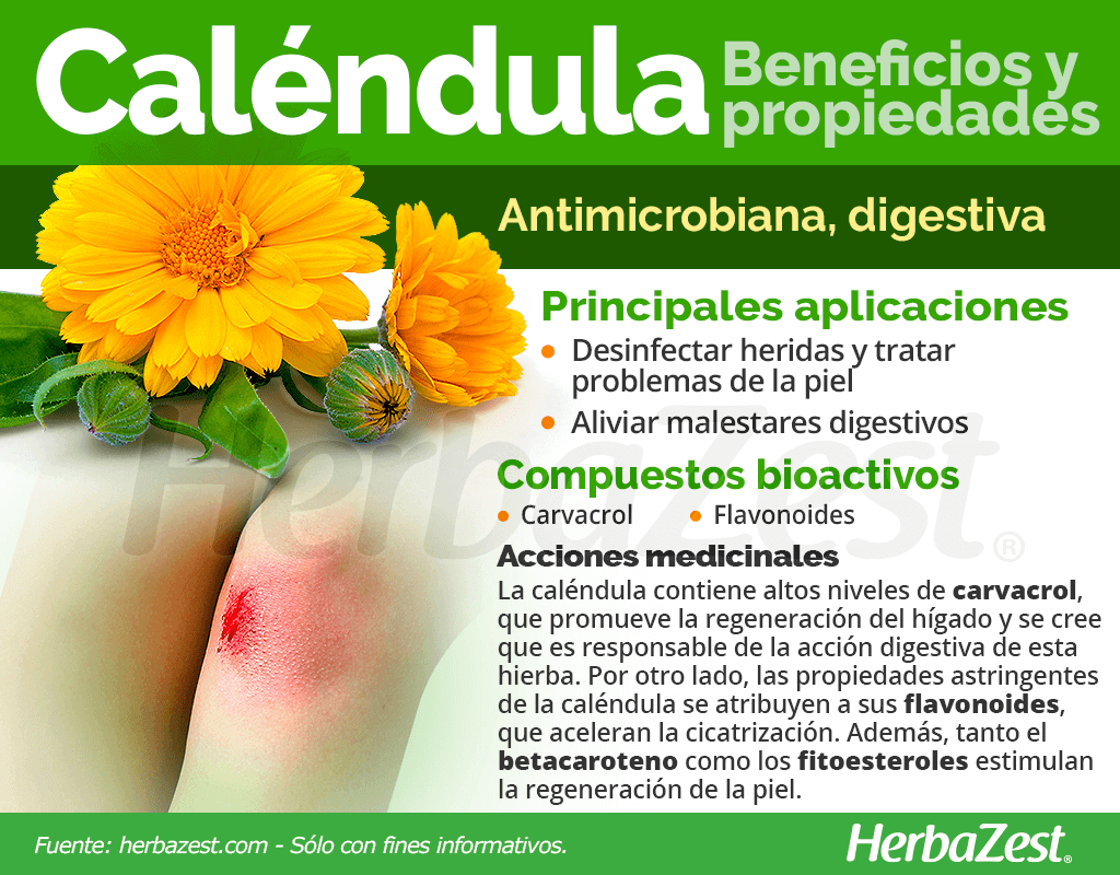 Beneficios y propiedades de la caléndula