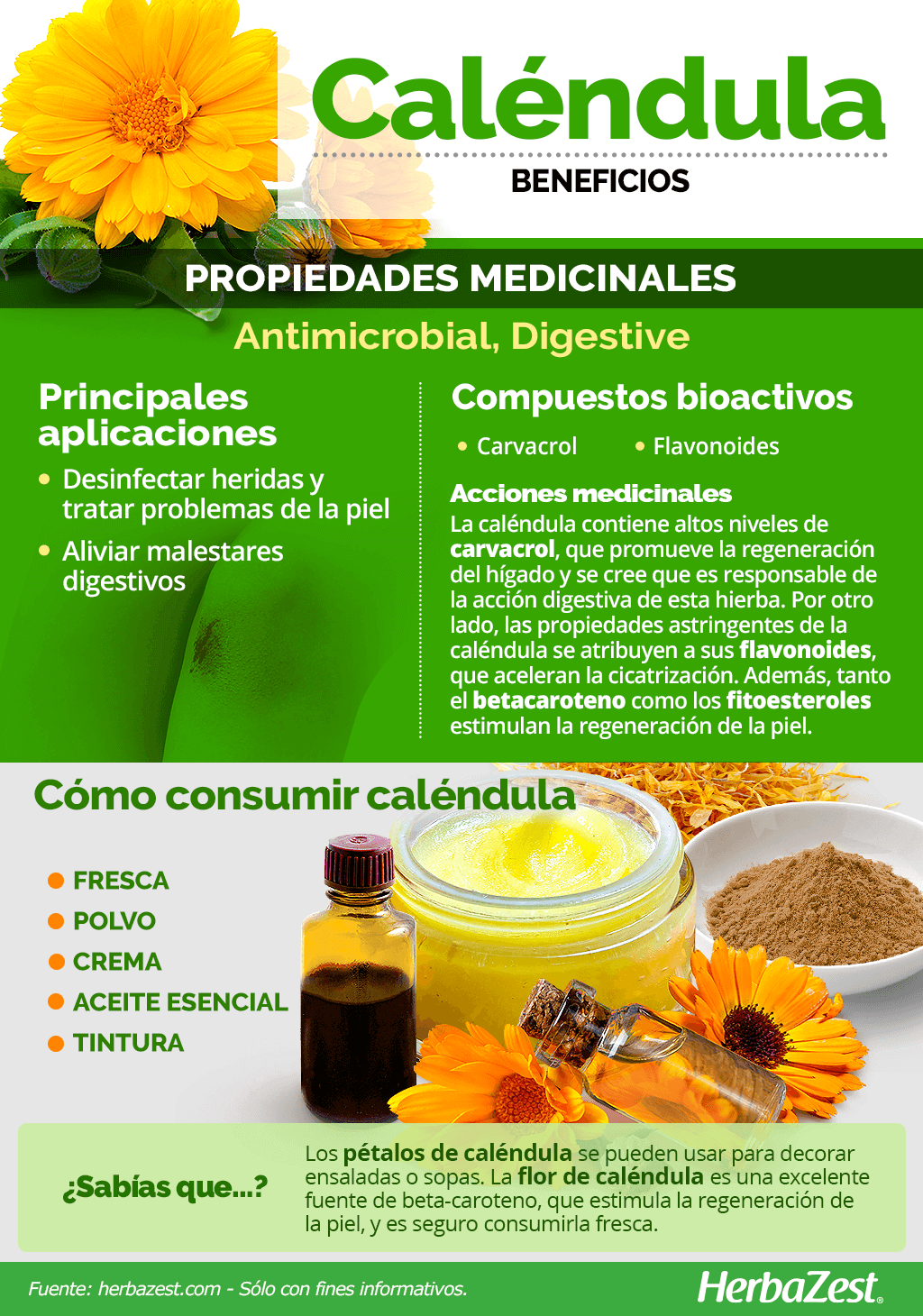 Beneficios de la Caléndula