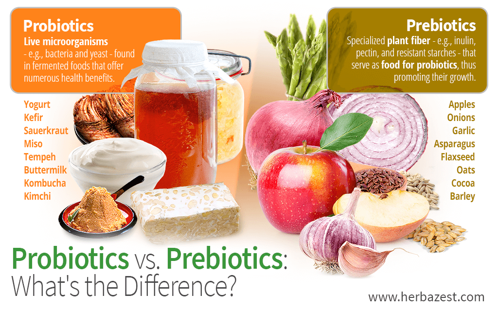 Probiotics vs. Prebiotics: What's the Difference and Best Sources