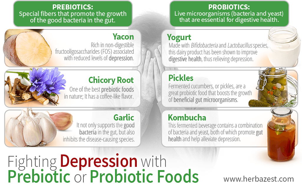 Fighting Depression with Prebiotic and Probiotic Foods