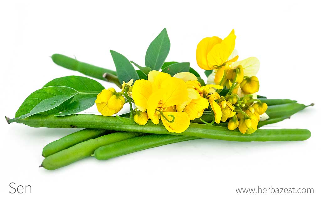 Sen