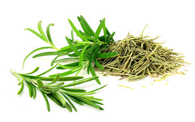 Rosemary