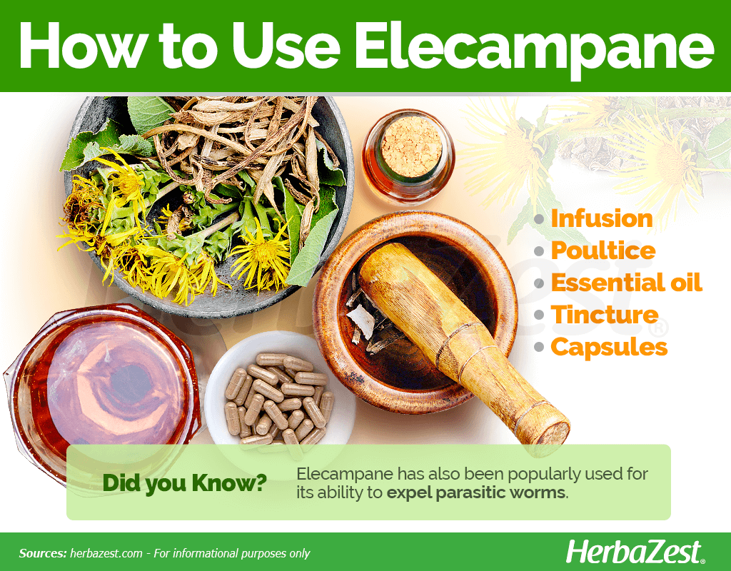 How to Use Elecampane