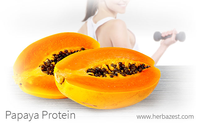 Papaya Protein