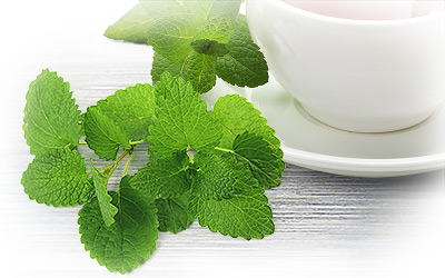 What is Lemon Balm