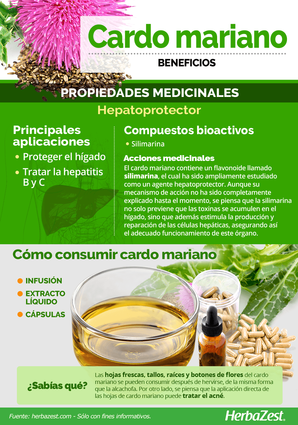 Beneficios del Cardo Mariano