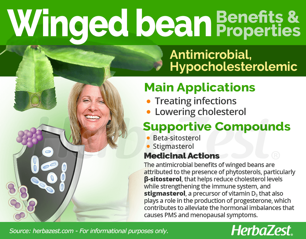Winged Bean Benefits and Properties