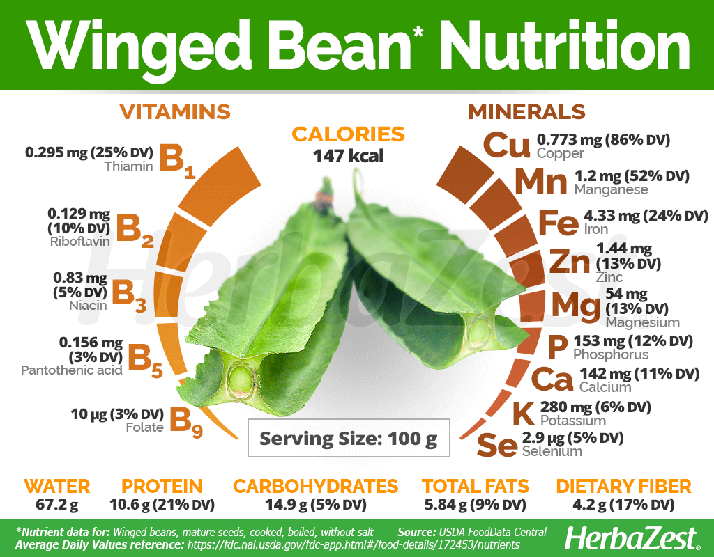 Winged Bean Nutrition Facts