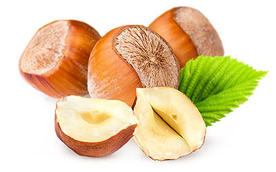 Hazelnut