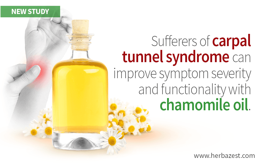 Carpal Tunnel Syndrome Sufferers Can Beat Symptoms with Chamomile Oil