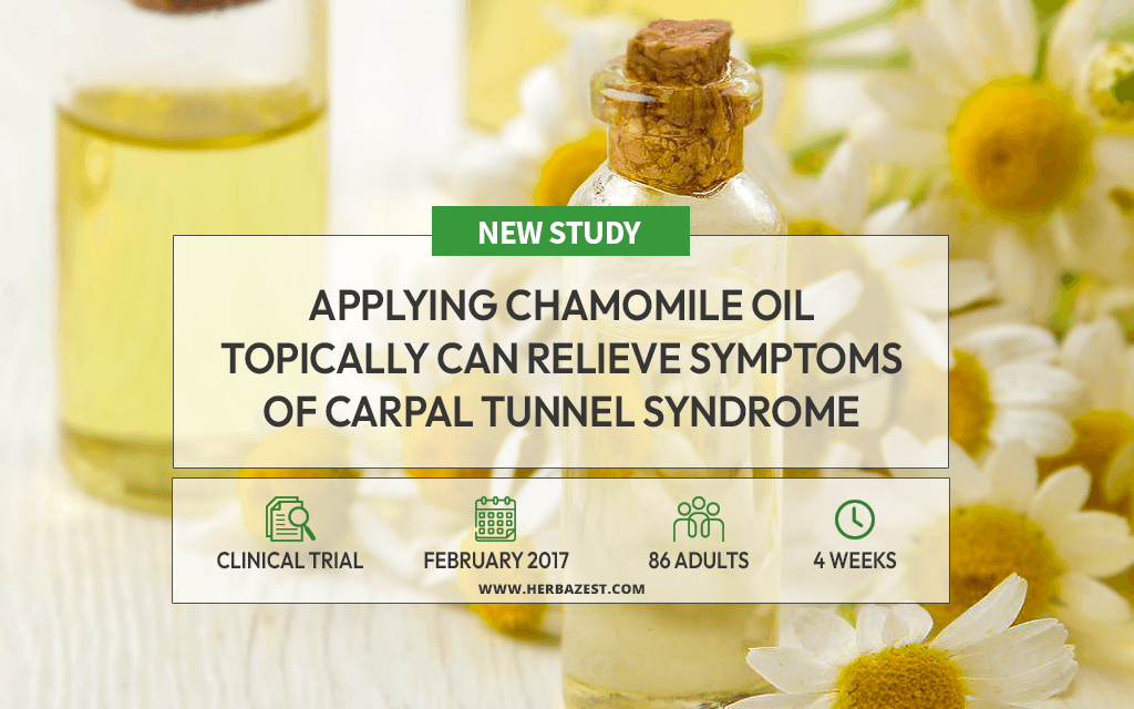 Carpal Tunnel Syndrome Sufferers Can Beat Symptoms with Chamomile Oil