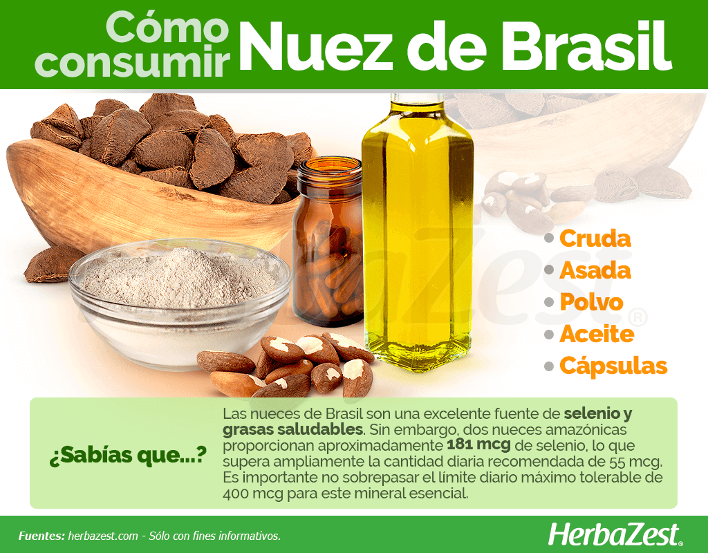 Cómo consumir nuez de Brasil