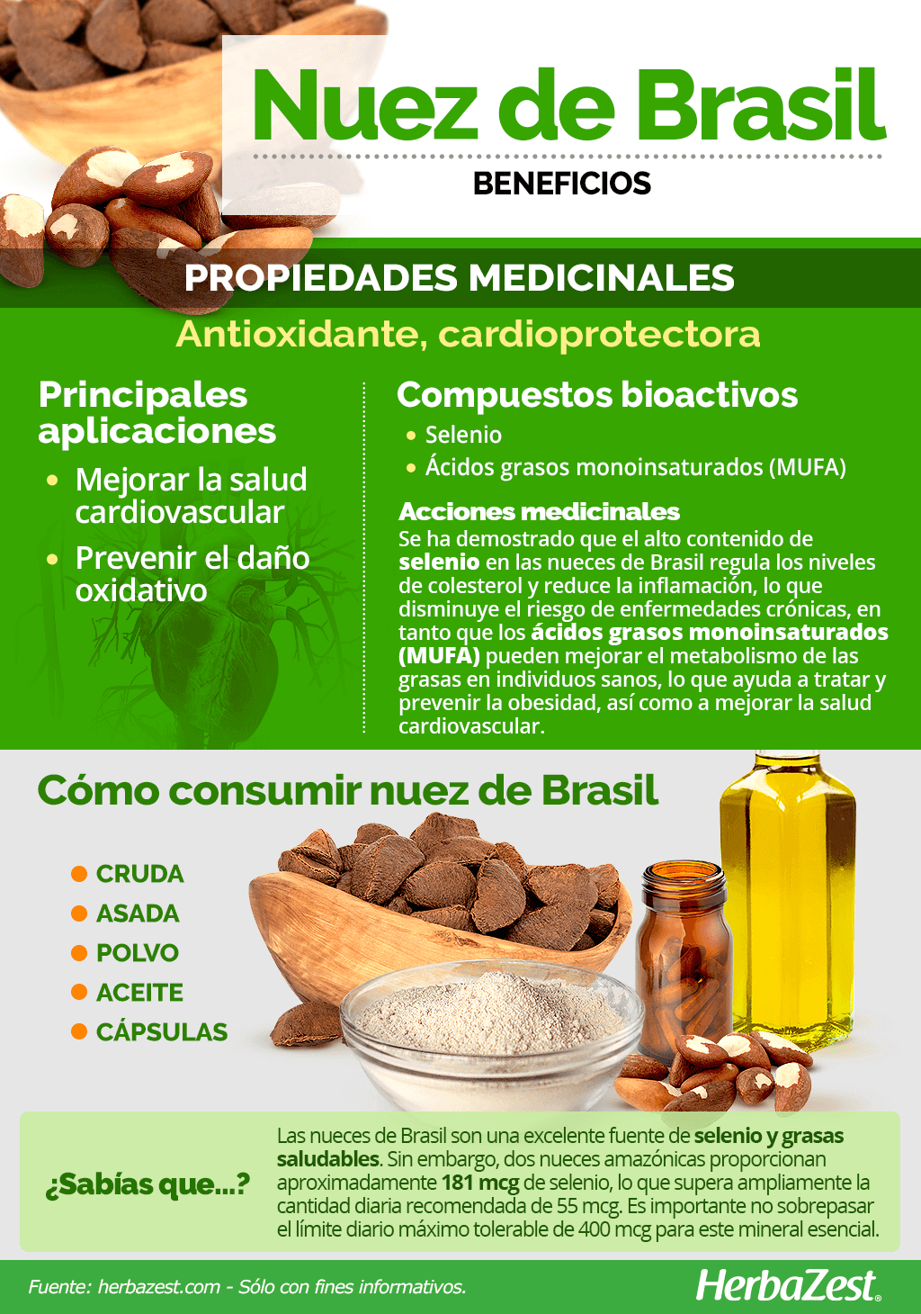 Beneficios de la nuez de Brasil