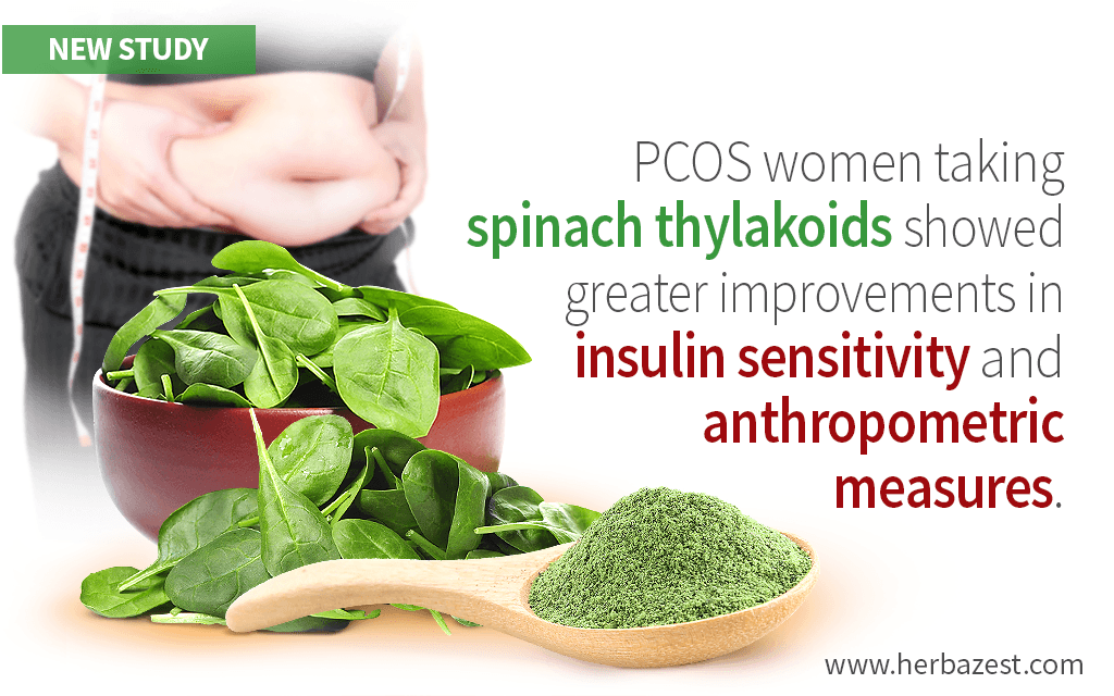 Supplementing Spinach Thylakoids May Benefit Obese Women with PCOS