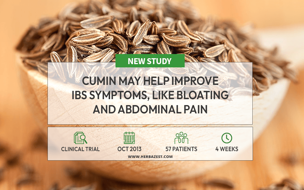 Cumin Extract May Help Relieve Symptoms of IBS HerbaZest