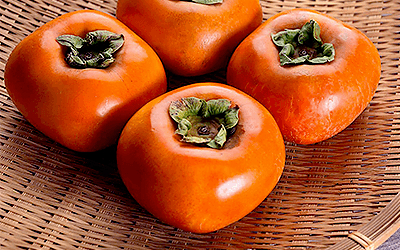 Persimmon Extract Improves Body Composition in Overweight Adults