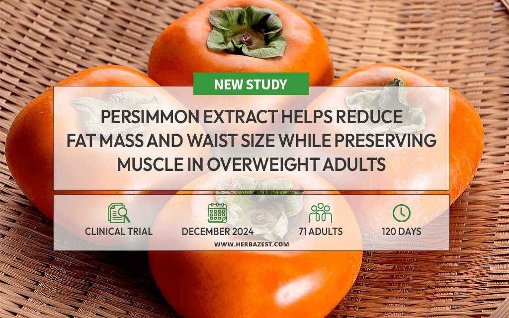 Persimmon Extract Improves Body Composition in Overweight Adults