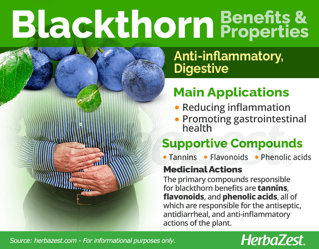 Blackthorn Benefits and Properties