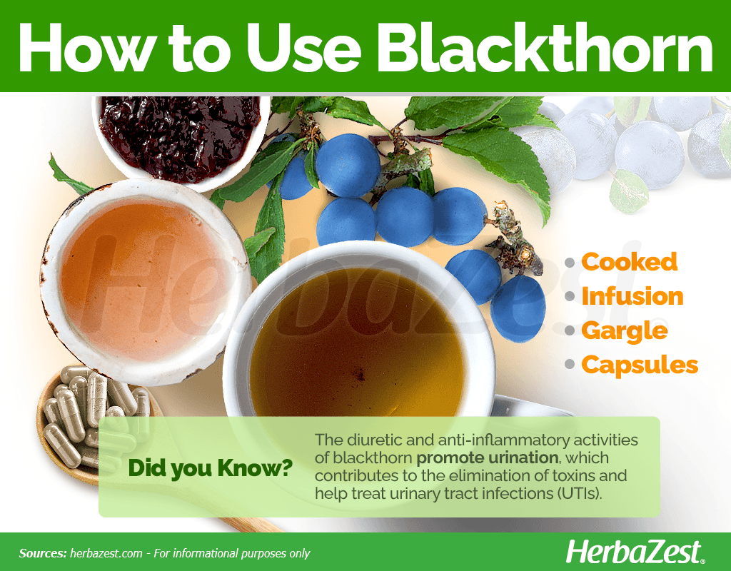 How to Use Blackthorn