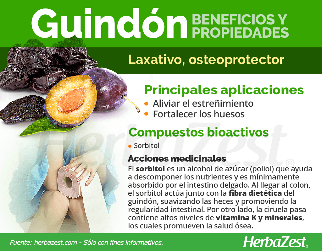 Beneficios y propiedades del guindón