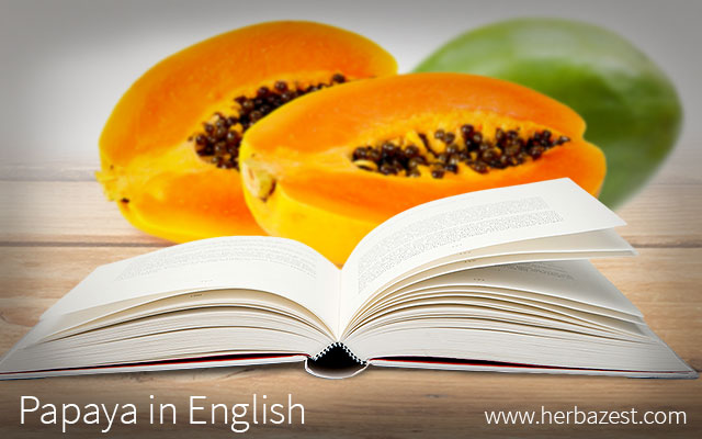 Papaya in English
