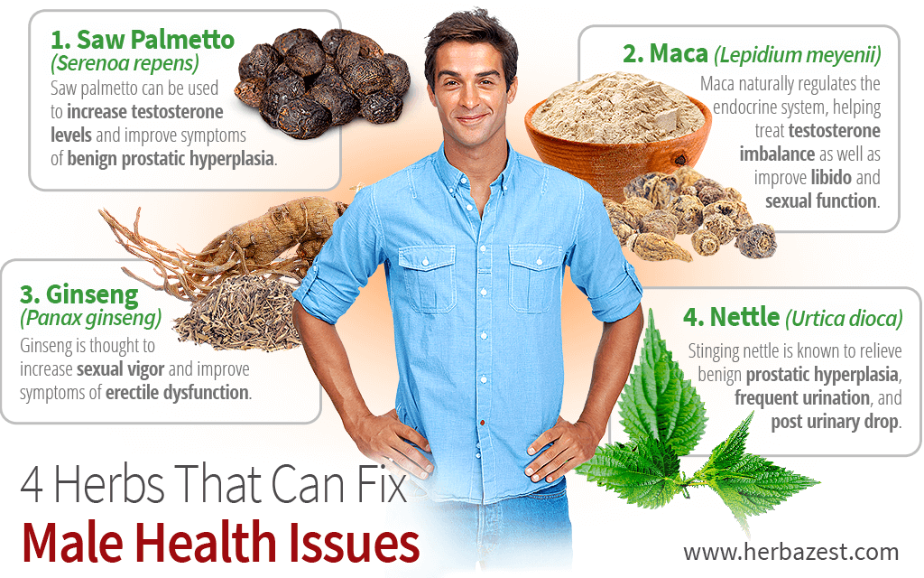 4 Herbs That Can Fix Male Health Issues