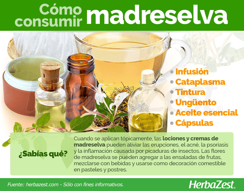 Cómo consumir madreselva