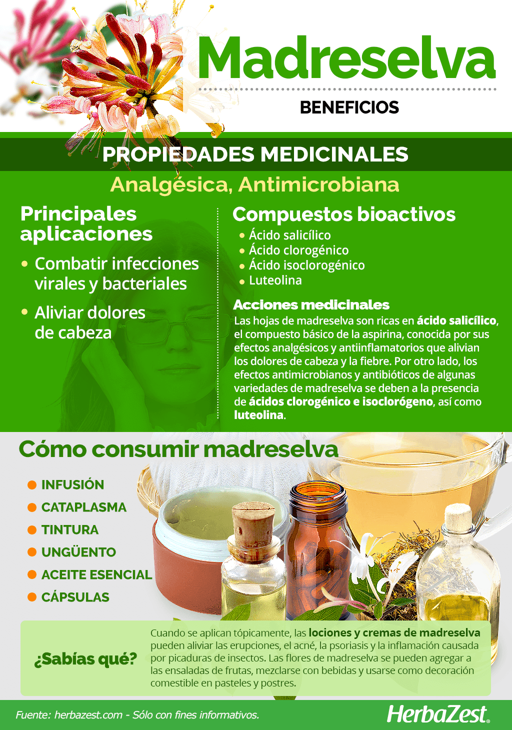 Beneficios de la madreselva